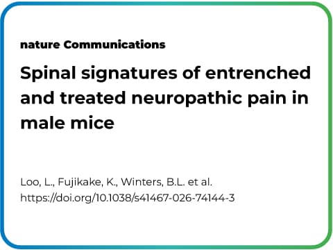 Research Spotlight · Australia:
Understanding Chronic Neuropathic Pain