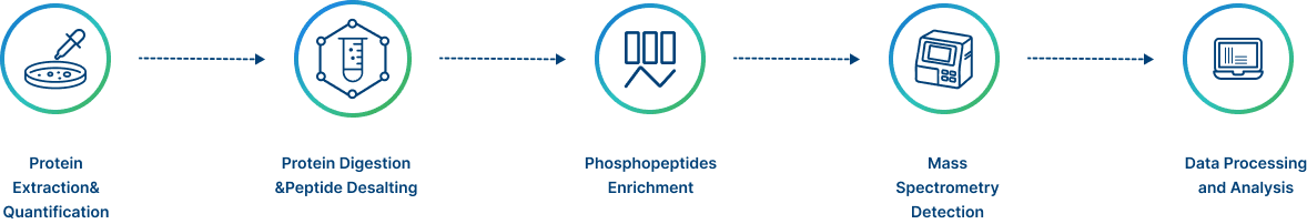 Project Workflow