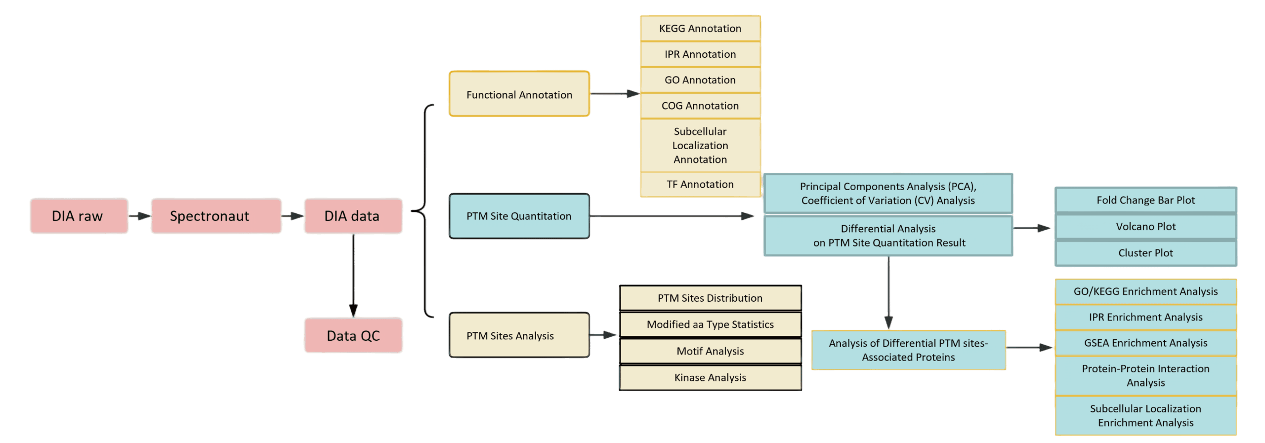 Overview of Data Processing and Bioinformatic Analysis